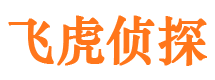 蛟河市婚外情调查